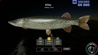 Ladoga Archipelago spot Trophy Pike  61  Russian Fishing 4  RF4 [upl. by Nekciv431]