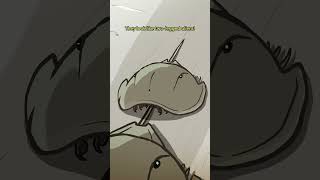 Trispine Horseshoe Crab 🦀🦂 animation original cartoon [upl. by Ricoriki]