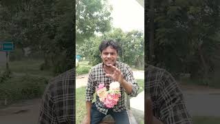 Odia Viral Short Video  Odia Tik Tok Video  Odia Short Tik Tok Video  New Odia Moj Video shorts [upl. by Keheley]