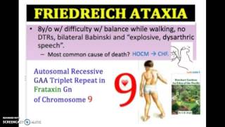 Friedreichs Ataxia Causes Symptoms Diagnosis Treatment  Gait Ataxia USMLE NCLEX MCAT 3 mn [upl. by Timmons946]