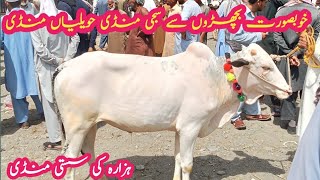 today 2182024 low cost khera bachra fresh rate in havelian mandi by Sajjad Khan vlog [upl. by Ahsimal908]