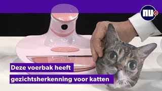 Nooit meer gestolen kattenvoer met deze voerbak met gezichtsherkenning [upl. by Saxen]