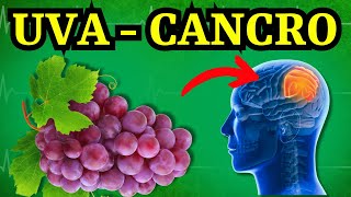 🍇 NON mangiare MAI UVA con QUESTI alimenti 🍇 Rischio di Cancro e perdita di memoria 3 combinazioni [upl. by Uhn]