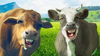 Funny Cow Dance 2  Cow Song amp Cow Videos [upl. by Nahgam827]