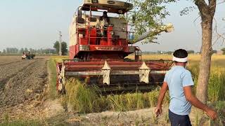 Day 6 harvester preet 987 dhan ktai [upl. by Arriaet403]