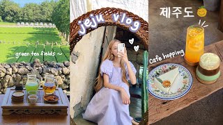 jeju island vlog 🍊 cafe hopping beach bar korean bbq aesthetic desserts international giveaway [upl. by Stephen]