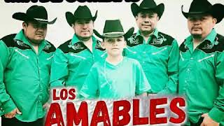 LOS AMABLES DE TAMPSMIX DE CUMBIAS [upl. by Athalia]