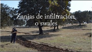 Swales zanjas infiltración Agricultura Regenerativa [upl. by Eduj]