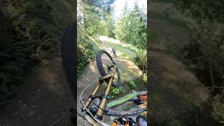 Flight Deck mtb jumps freeride [upl. by Noremac]