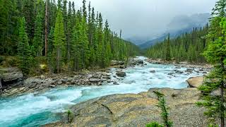 Beautiful Nature River flowing in Canada 4k Relaxing River Sounds Nature White Noise for Sleeping [upl. by Etnoval]