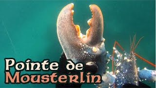 Pointe de Mousterlin  homard soles araignées congre  Nokill Ⓥ [upl. by Delanie]