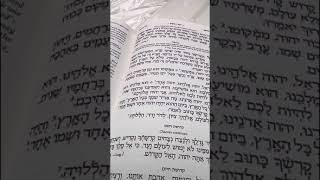 Chazan Nathan Gluck  Hu Elokeinu Musaph Ashkenaz [upl. by Sibylle174]