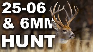 2506 amp 6mm Deer Hunt [upl. by Hollington]