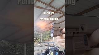 Have You Plinked Today keltec 22lr plinking [upl. by Eilra]