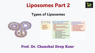 Liposomes Part 2 Types of Liposomessaiedupharmaa nddsCRDDS [upl. by Sarina]