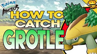 How to Get Grotle in Pokemon Legends  Arceus Grotle Location [upl. by Arodoeht]