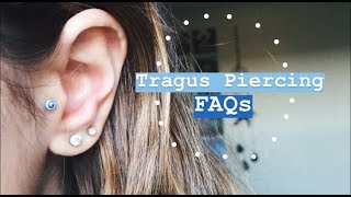 Tragus Piercing FAQs my experience pain aftercare etc [upl. by Nathanson]