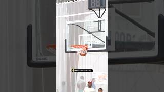 ☃️ is just getting started basketball t3tv sportsbasketball [upl. by Einhpad]