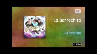 La Borrachita  Tu amante [upl. by Tartan]