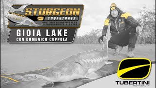 Tubertini  Sturgeon Adventure  Gioia Lake [upl. by Chor]