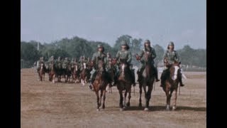 Royal Netherlands East Indies Army KNIL18141950 [upl. by Rhines]