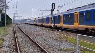 40 in 1 trein Deel 3 [upl. by Nennarb98]