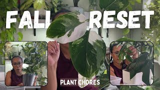 Breathing new life into tired plants Fall Reset Plant Chores [upl. by Nnaecyoj87]