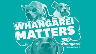 Dogs in our District  Whangārei Matters Podcast [upl. by Neoma]