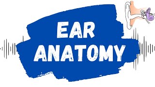 Learn How to Examine the Ear  Outer inner and middle ear [upl. by Negam978]