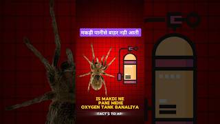 Makdi ne panime oxygen tank banaliya। Diving bell spider। Sea animals। shorts spider oxygen [upl. by Francesco642]