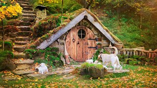 Mastering bushcraft build your own dugout in the mountains [upl. by Balliol]