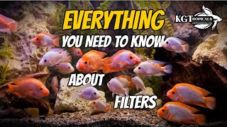 Aquarium Filters Explained The Good The Bad and The Ugly [upl. by Sorips914]