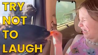 Funniest Animals of the Year Try Not To Laugh Challenge 🙈😹 [upl. by Roxanne947]