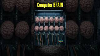 Sweden Brain Computer  Telugu Facts  Facts shorts youtubeshorts Facts [upl. by Lorelle892]