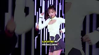 Jennie First Tour House For Her Secret Expensive House [upl. by Adlin]