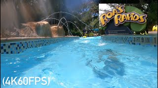 Roa’s Rapids POV 4K60FPS  Aquatica Orlando 2024 [upl. by Lot]