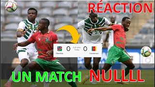 REACTION APRES LE MATCH NULLLLLL DES LIONS  NAMIBIE vs CAMEROUN [upl. by Goldshlag]