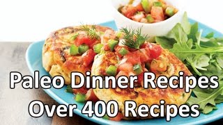 Paleo Dinner Recipes  Best paleo diet recipes book [upl. by Alcina407]