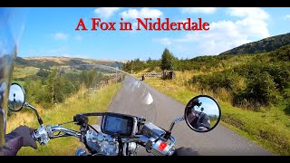 Honda VT750 Shadow Spirit A Fox in Nidderdale 30th August 2024 [upl. by Yellac321]