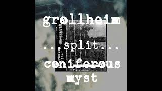 teaser  Grollheim  Coniferous Myst  Split [upl. by Hcelemile]