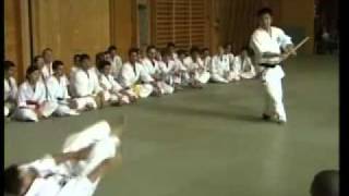 Goshin No Kata  all 50 [upl. by Yretsym]