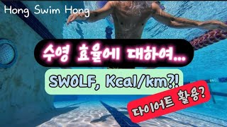 수영 효율에 대하여 swimming 수영 다이어트 SWOLF Kcal SWOLF [upl. by Olwen]