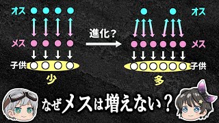 【ゆっくり解説】子孫を増やすならメスが多いほうがいいのではないか？－なぜ性別比は11なのか－ [upl. by Golliner]