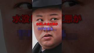 水没した金正恩が〇〇 [upl. by Elocan]