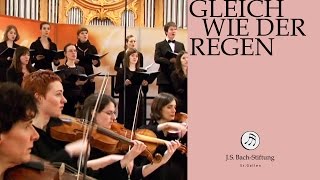 JS Bach  Recitative quotMein Gott hier wird mein Herze seinquot from Cantata BWV 18 [upl. by Gautier]