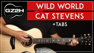 Cat Stevens  Wild World with lyrics  Music amp Lyrics [upl. by Goran766]