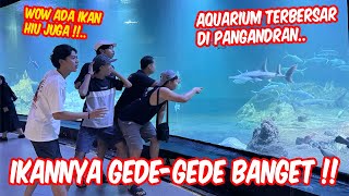 SEUMUR HIDUP BARU KALI INI LIAT IKAN HIU  Petualangan di Aquarium super gede di Pangandaran [upl. by Mira]