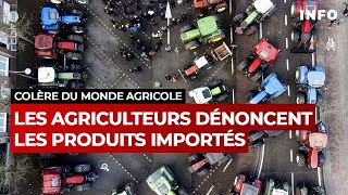 Les agriculteurs dénoncent les produits importés  RTBF Info [upl. by Naeruat]