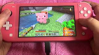 Minecraft Nintendo switch gameplay No talking Day X [upl. by Franky]