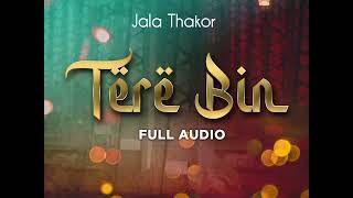 tere bin OST  Shani arshad  cover song jala Thakor [upl. by Sordnaxela309]